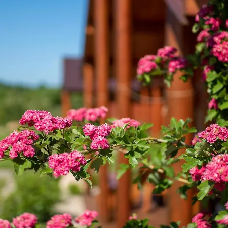 Ostoja Maltanska Ярославец