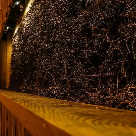 Ostoja Maltanska Деревянный коттедж *