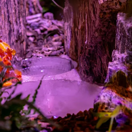 Ostoja Maltanska Деревянный коттедж *