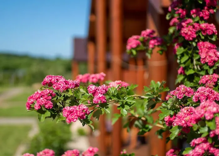 Ostoja Maltańska Jarosławiec