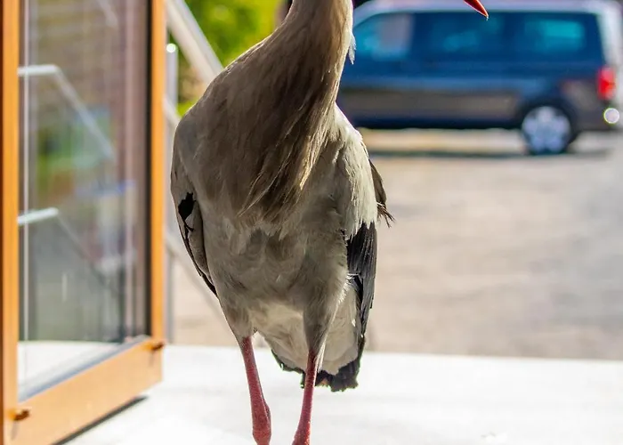 Domek letniskowy Ostoja Maltańska Jarosławiec