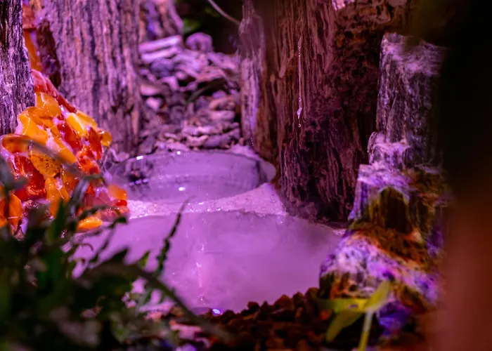 Ostoja Maltanska Lodge *